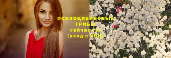 мяу мяу мука Иннополис
