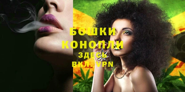 ешки Инта